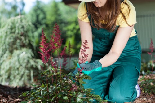 Tools used for hedge trimming in a residential garden