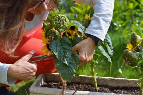 Measuring cubic yards of green waste for removal